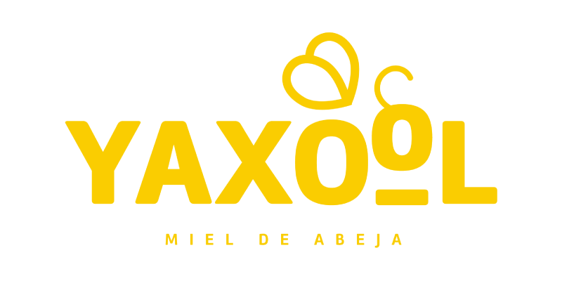 yaxool-origenes-digital-02