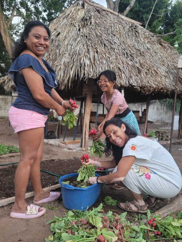 yaxool-origenes-digital-09