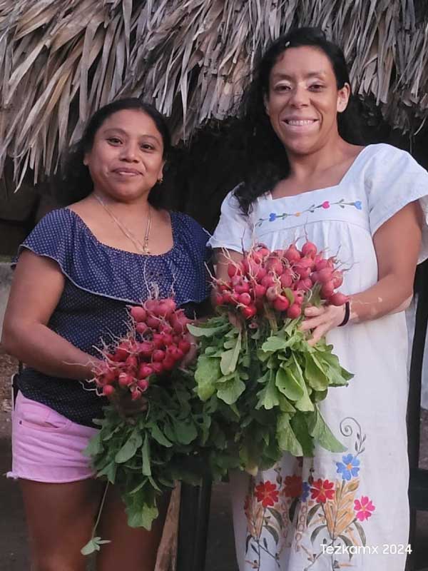 yaxool-origenes-digital-10